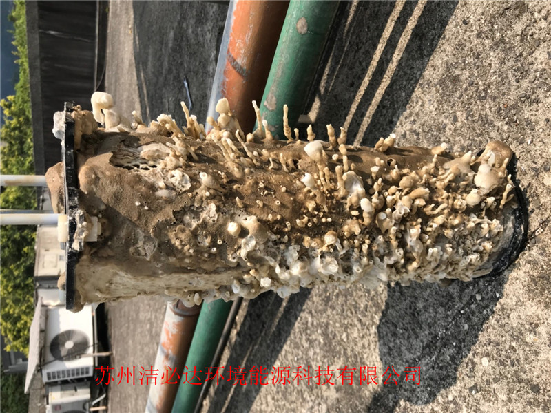 蘇州金盛塑膠測(cè)試2天案例