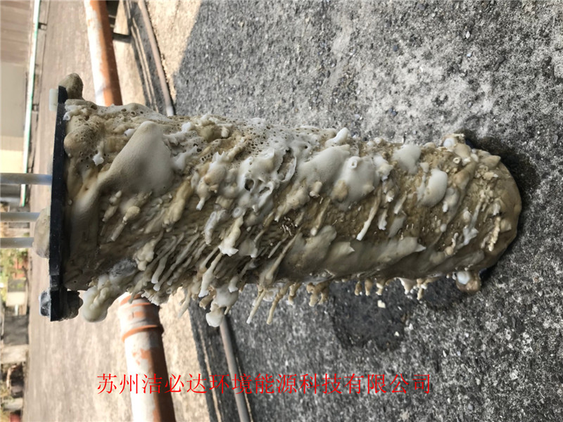 冷卻塔吸垢機(jī)（蘇州大毅科技案例）