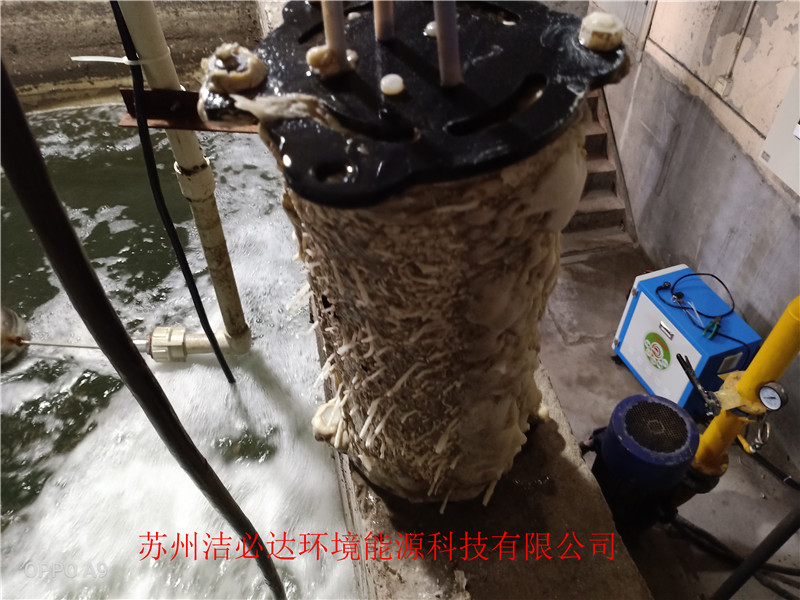 冷卻塔吸垢機(jī)（上海勝瑞電子案例）